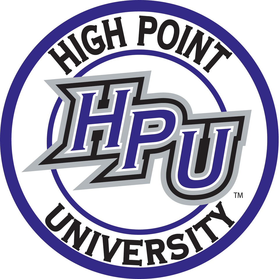 High Point Panthers 2004-Pres Alternate Logo t shirts iron on transfers v4